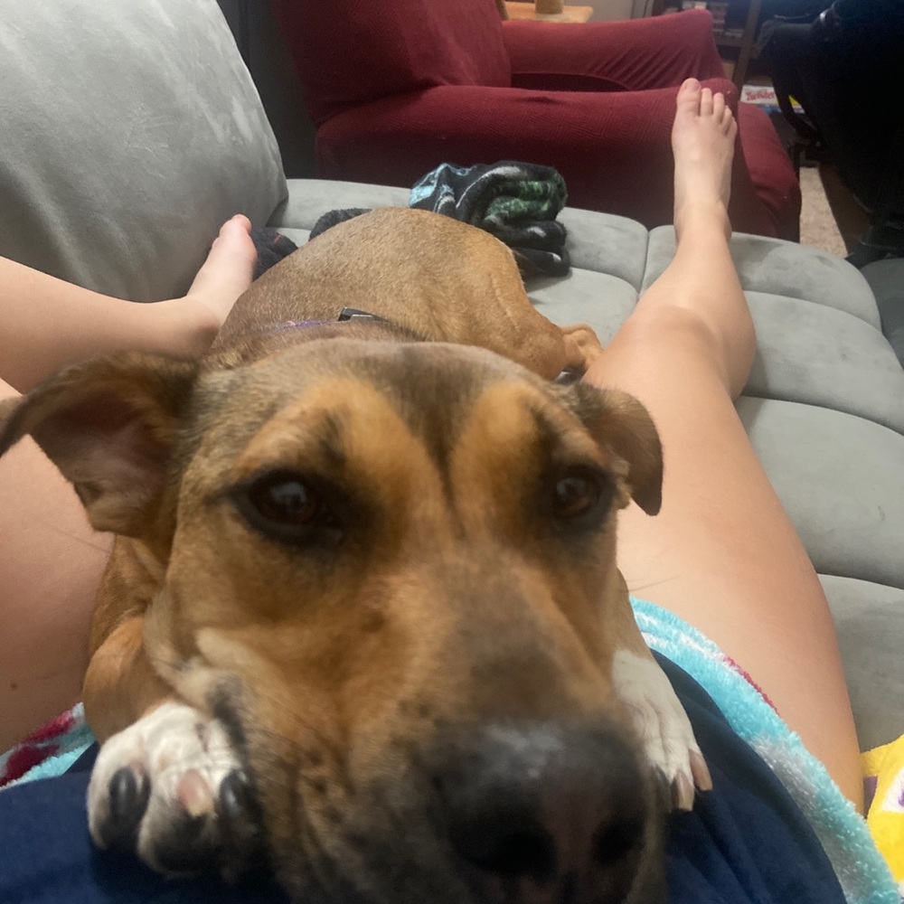 Meet your Posher, Abby